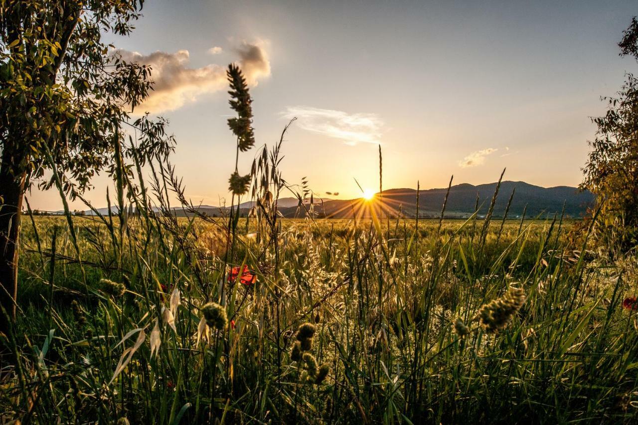 Refugium Countryhouse Podere Cernaia Exteriér fotografie